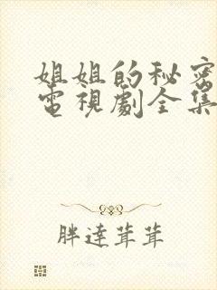 姐姐的秘密韩国电视剧全集在线观看