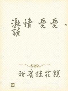 激情 爱爱 小说