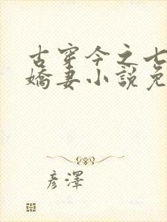 古穿今之七零小娇妻小说免费阅读