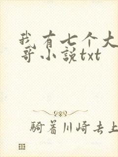 我有七个大佬哥哥小说txt