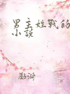 男主姓战的总裁小说