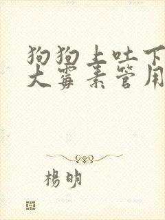 狗狗上吐下泻庆大霉素管用吗