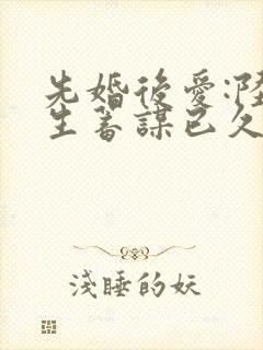 先婚后爱:陆先生蓄谋已久