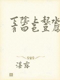 下阴上起水泡,有白色豆腐渣状东西