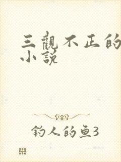 三观不正的言情小说