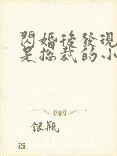 闪婚后发现老公是总裁的小说