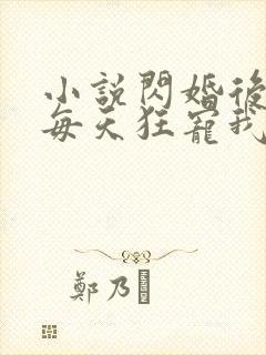 小说闪婚后大叔每天狂宠我免费阅读