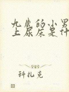 九岁的小男孩晚上尿床是什么原因