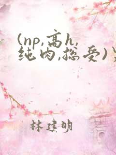 (np,高h,纯肉,总受)男男