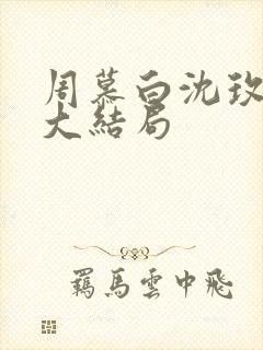 周慕白沈玫小说大结局