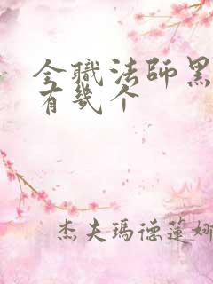 全职法师黑暗王有几个