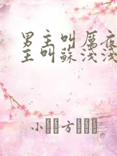 男主叫厉夜霆女主叫苏浅浅的小说