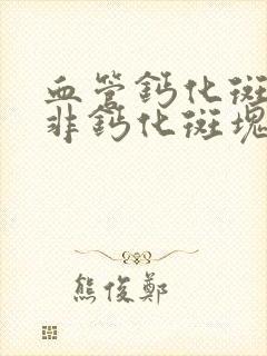 血管钙化斑块和非钙化斑块的区别