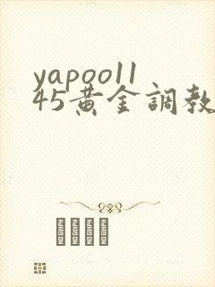 yapoo1145黄金调教vk