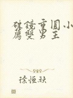 破镜重圆小说推荐双男主