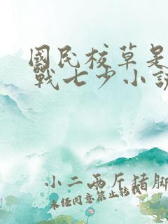 国民校草是女生 战七少小说