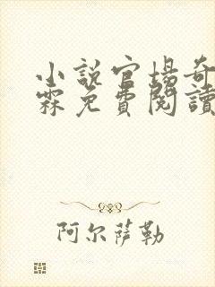 小说官场奇才李霖免费阅读