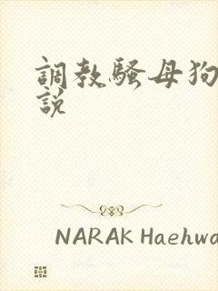 调教骚母狗h小说