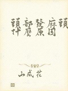 头部发麻头疼是什么原因