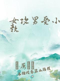 女攻男受小说调教