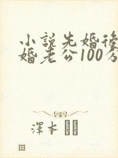 小说先婚后爱闪婚老公100分最新章节