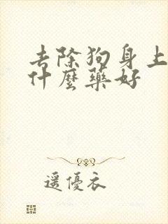 去除狗身上蜱虫什么药好