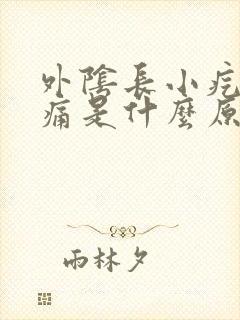 外阴长小疙瘩痒痛是什么原因