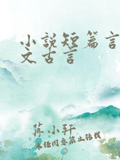 小说短篇言情甜文古言