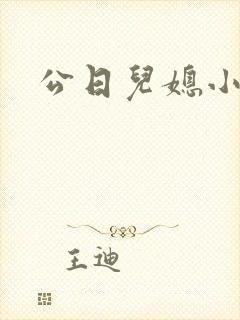 公日儿媳小说