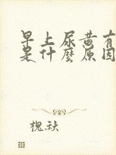 早上尿黄有泡沫是什么原因