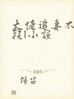 大佬追妻不择手段l小说