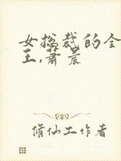 女总裁的全能兵王,萧晨