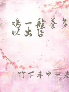 鸡一般养多久可以出售