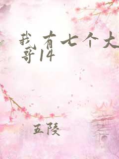 我有七个大佬哥哥14