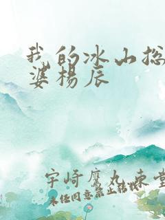 我的冰山总裁老婆杨辰