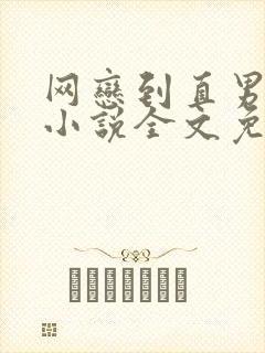 网恋到直男室友小说全文免费阅读