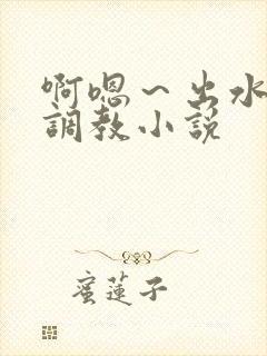 啊嗯～出水了h调教小说