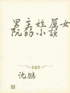 男主姓厉女主姓阮的小说