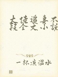 大佬追妻不择手段全文小说阅读全文