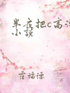 半夜把c高潮了小说