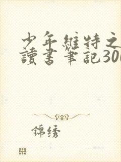 少年维特之烦恼读书笔记3000字