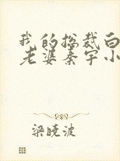 我的总裁白富美老婆秦宇小说