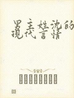 男主姓沈的小说现代言情