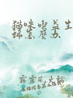 猫咪吃益生菌拉稀怎么办