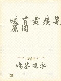 咳有黄痰是什么原因