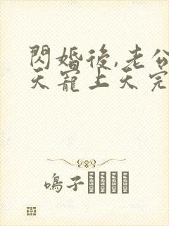 闪婚后,老公每天宠上天完整章节下载