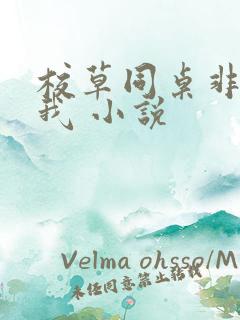 校草同桌非要撩我 小说