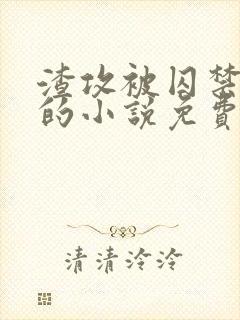 渣攻被囚禁反攻的小说免费阅读