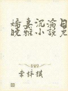 娇妻沉沦日记许晓雅小说免费阅读