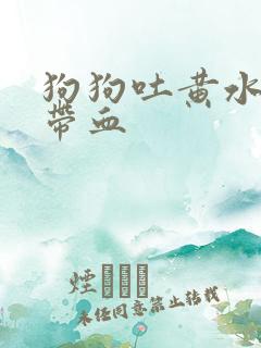 狗狗吐黄水拉稀带血